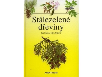 Stálezelené dřeviny