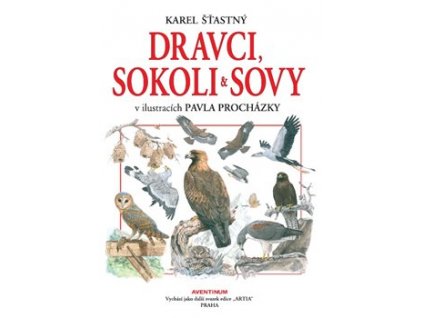 dravcisokoli