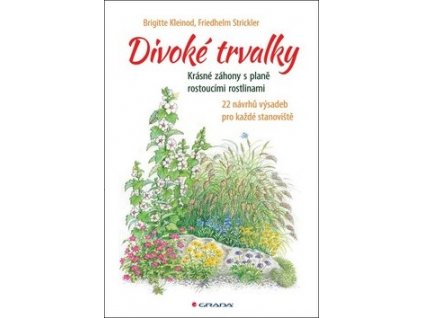 Divoké trvalky