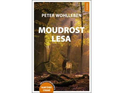 Moudrost lesa