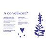 A5 modro pro firmy10