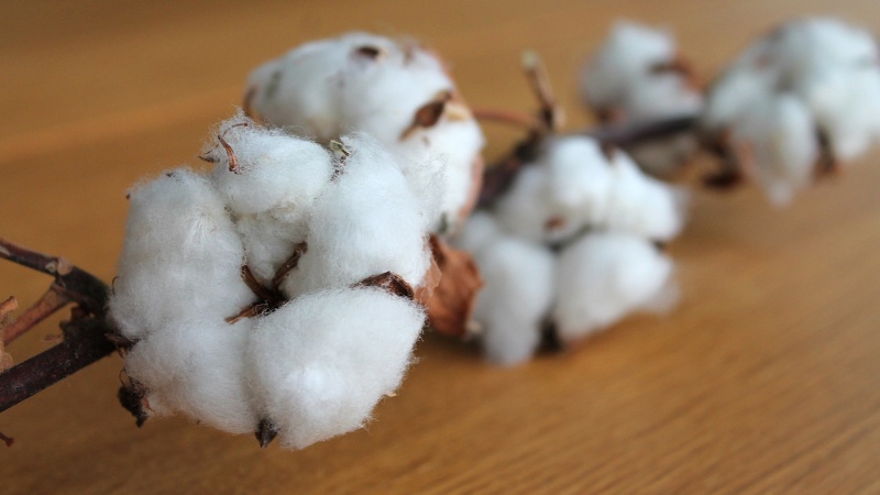 Údržba jednotlivých typů materiálů používaných v šátcích