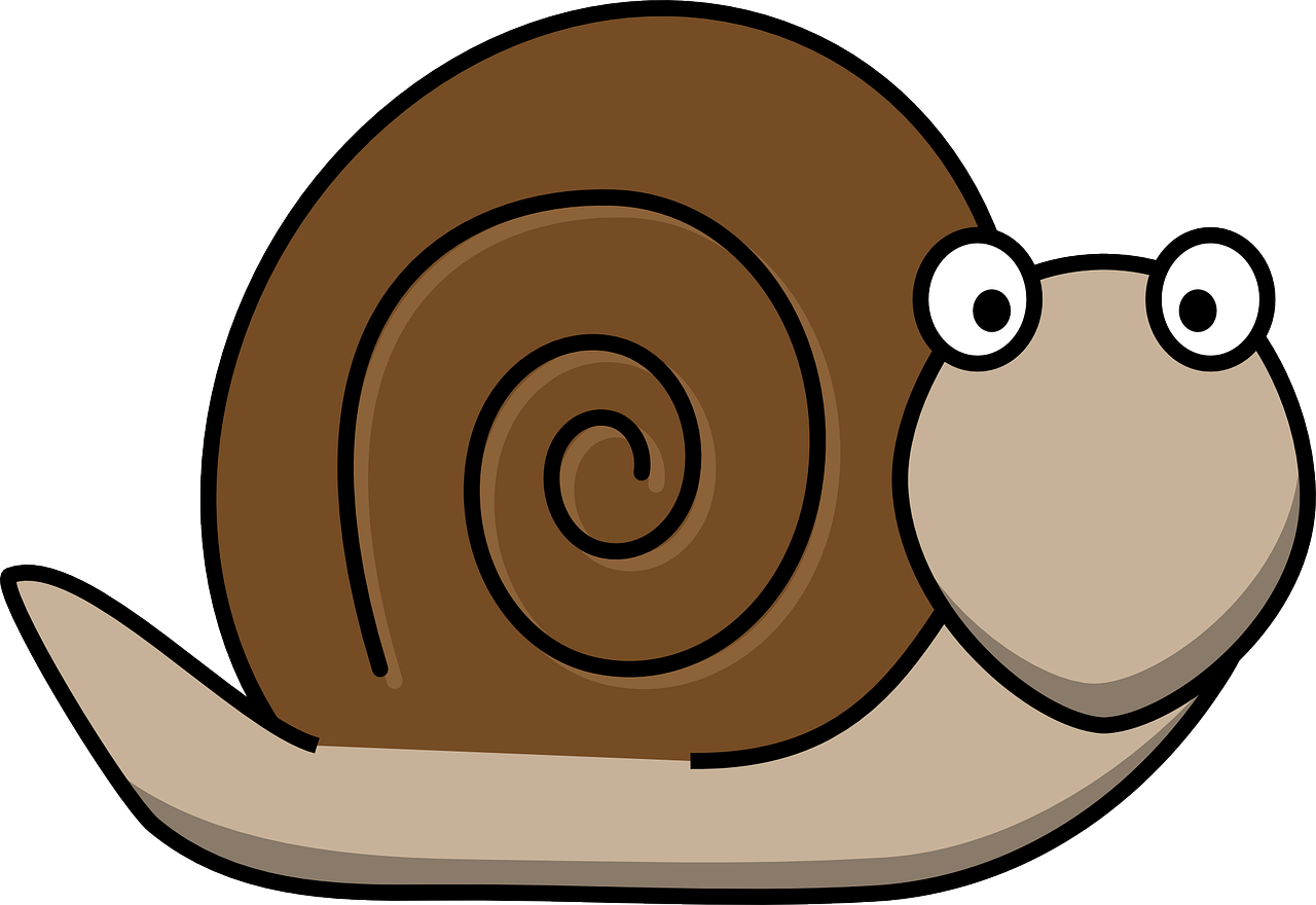 snail-160313_1280