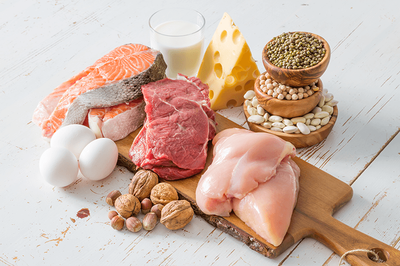 protraviny-s-vysokym-obsahom-proteinov