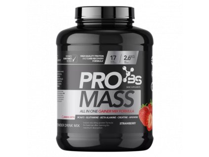 basic supplements pro mass gainer strawberry 26kg