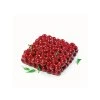 39389 3 cherry cover recipie tiff 1