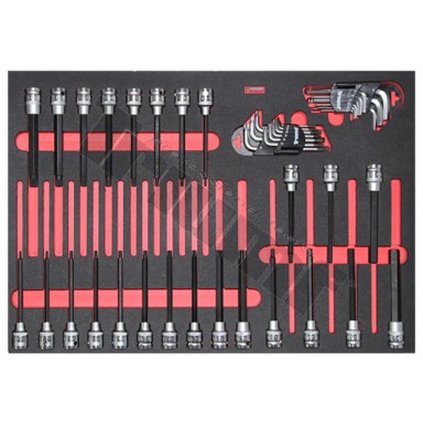 modul bity " PROFI 2010 " naplnený TRIUMF T28525