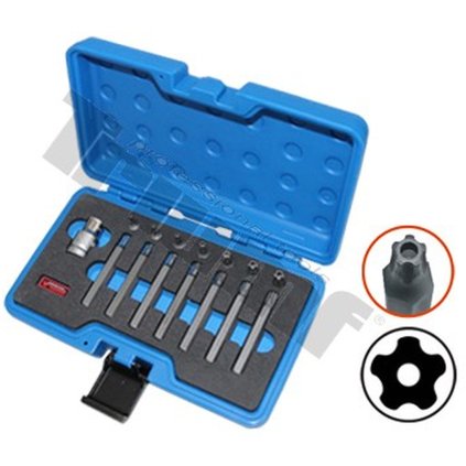Sada bitov 5-cípy Torx, vrtáná, IPR15-IPR50, 10 mm driek, 15 dielna s adaptérom. TRIUMF T35500