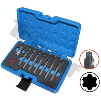 Sada bitov Torx plus, IP15-IP50, 10 mm driek, 15 dielna s adaptérom. TRIUMF T35499