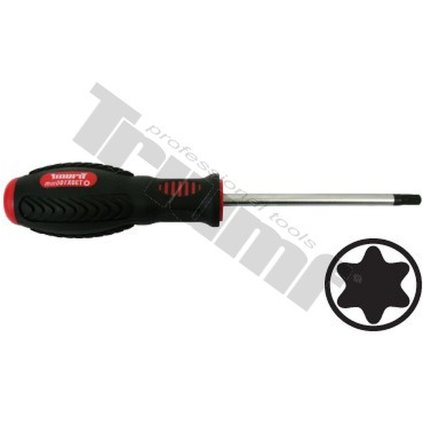 Skrutkovač  Torx - nevŕtaný T 20 x 100 mm TRIUMF T22955