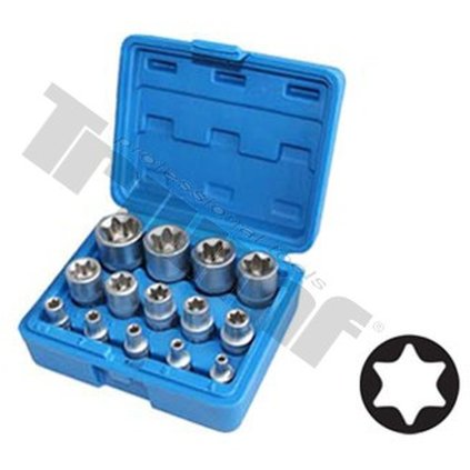 Sada hlavíc 1/4", 1/2", 3/8" E - profil, rozsah E4 - E24, 14 dielna null TRIUMF T23067