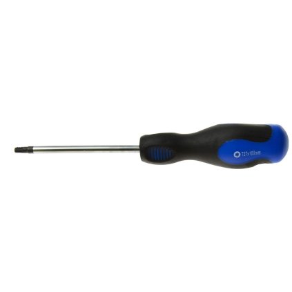 Skrutkovač torx t27x100 mm GEKO
