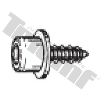 Skrutka samorezná 5,5 x 12,5 mm T7958