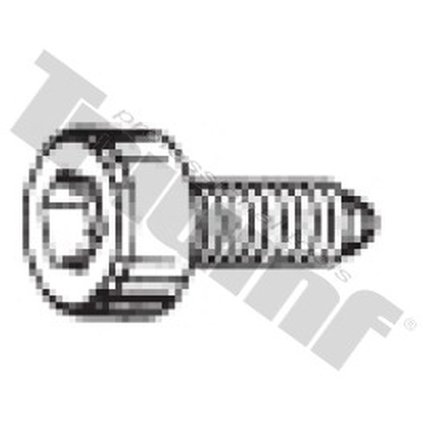 Skrutka M 6 x 17 mm valcová, 6 - hran T7899