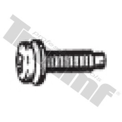 Skrutka M 4 x 10 mm s podložkou T7901