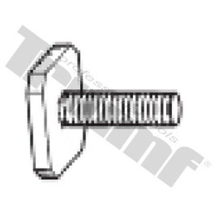 Skrutka M 6 x 22 mm, 4 - hranná hlava T7911
