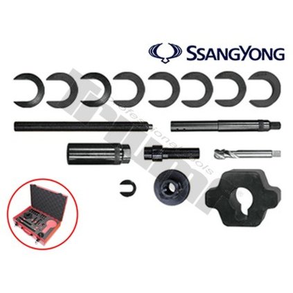 Sada prípravkov na vyberanie Delphi vstrekovačov, 11 - dielna T35778