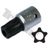 Nástavec 1/4" vstup, 5 - hranný Torx, vŕtaný, TRIUMF T28055