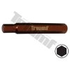 Bit Inbus, 10 mm driek, dĺžka 75 mm 8 mm TRIUMF T710