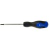 Skrutkovač torx t20x100 mm GEKO G32024