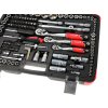 TVARDY Gola sada s profesionálnymi nástrčnými kľúčmi 216 dielna 1/4", 3/8", 1/2" T00103