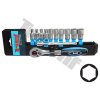 Gola sada 1/4", hlavice 4,5,6,7,8,9,10,11,12,13mm, predĺženie 100mm, na plastových klipoch, 12dielna T41835
