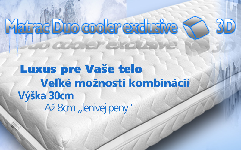 Duo Cooler exclusive 3D