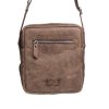 1253 Antik 1
