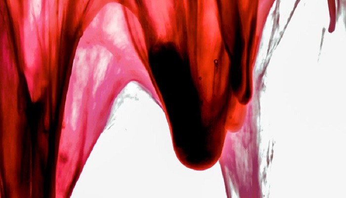 Využitie menštruačnej krvi