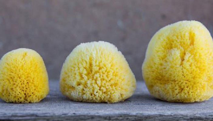 Často kladené otázky - menštruačné huby