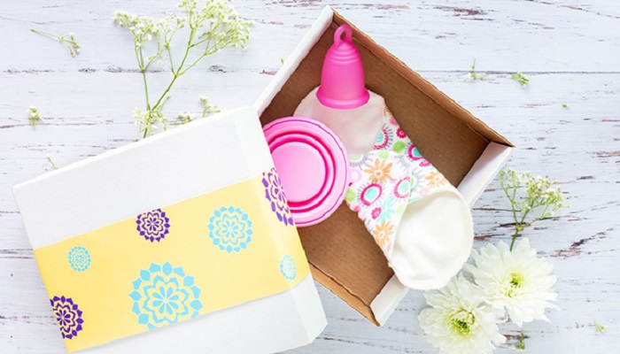 Porovnanie jednotlivých menštruačných pomôcok podľa rôznych kritérií