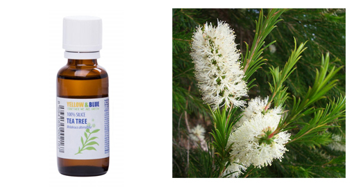 tea-tree-olej
