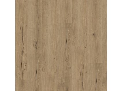vinyl parador basic 30 dub cambridge prirodny p1748796 16558