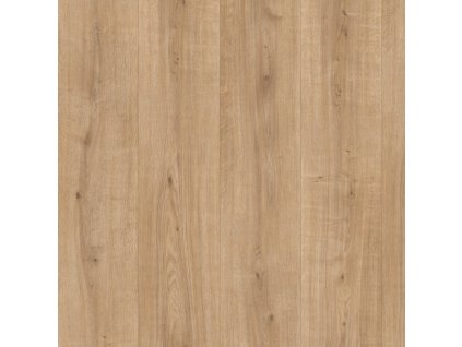 dub ortega 2242093 18651