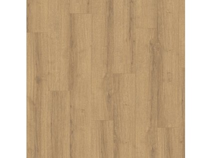 dub sherman medovy 2212014 18556