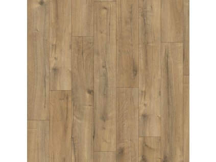 dub loja hnedy 2202077 18572