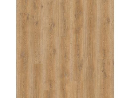 dub messina medovy 4870192 18525