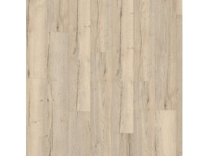 dub halifax biely 4860144 18501