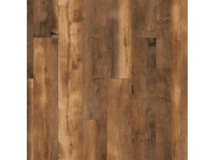 dub dubloon 1890412 19289