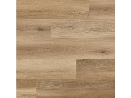 dub silverton 4542082 20627