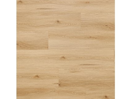 dub arvada 4541532 20759