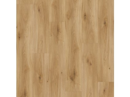 laminatova podlaha parador basic 400 dub 1593813 vrchny pohlad