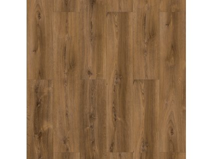laminatova podlaha parador basic 600 dub 1593830 vrchny pohlad