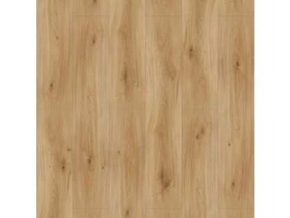 laminatova podlaha parador basic 600 dub 1593845 vrchny pohlad