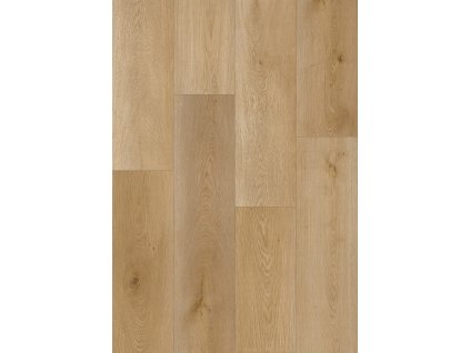 KPP Smart Dub Nela 20013