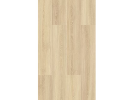 KPP Smart Dub Ilona 20016