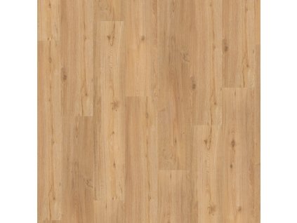 vinylova podlaha parador basic 30 dub 1649299 vrchny pohlad
