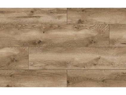 49761 Arteo Classen Dub Fiordland WR