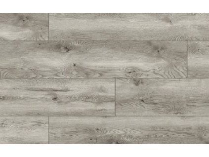 49771 Arteo Classen Dub Silverstone WR