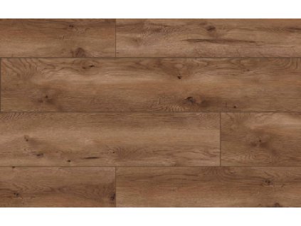 49767 Arteo Classen Dub Serengeti WR